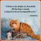 Beautiful Cat Lover Quotes 06
