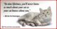 Beautiful Cat Lover Quotes 09