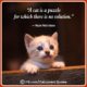 Beautiful Cat Lover Quotes 14