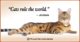 Beautiful Cat Love Quotes 21