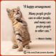 Beautiful Cat Love Quotes 22