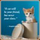 Beautiful Cat Love Quotes 24