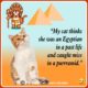 Funny Cat Lover Quotes 06