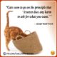 Funny Cat Lover Quotes 10
