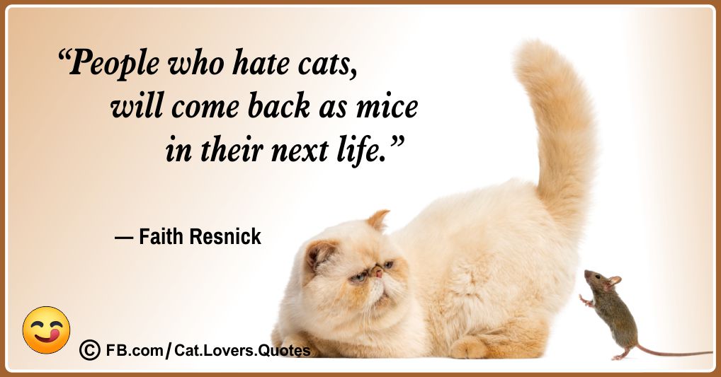 Funny Cat Quotes 29