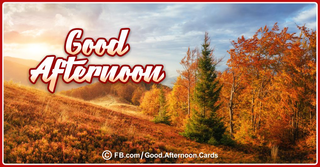 Good Afternoon Cards 07