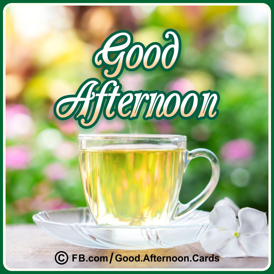 Good Afternoon Cards 18