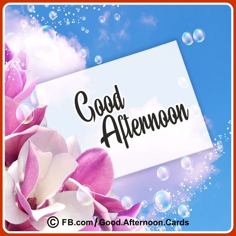 Good Afternoon Messages 20