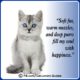 Heart-Melting Cat Lover Quotes 08