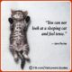 Heart-Melting Cat Lover Quotes 16