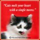 Heart-Melting Cat Quotes 24