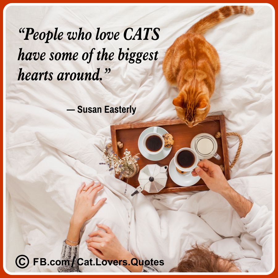 Heart-Melting Cat Quotes 30