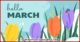 Welcome March Cards 34